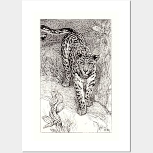 Leopard Posters and Art